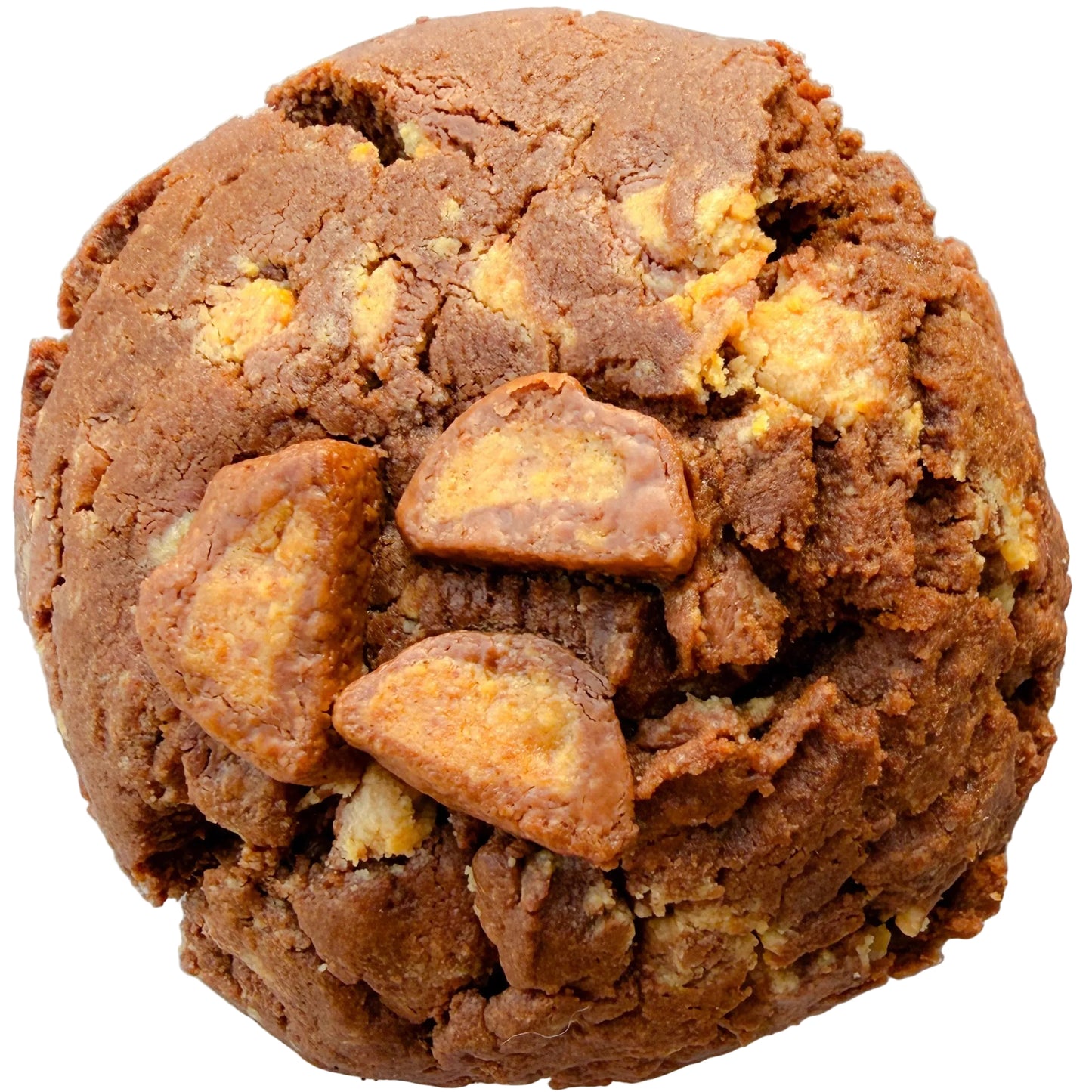 Reese’s Chocolate Peanut Butter Cookie