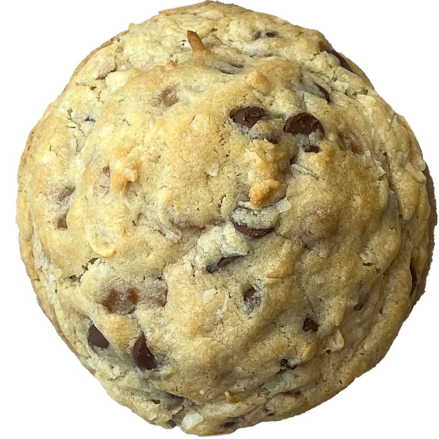 Caramel Coconut Chocolate chip Cookie