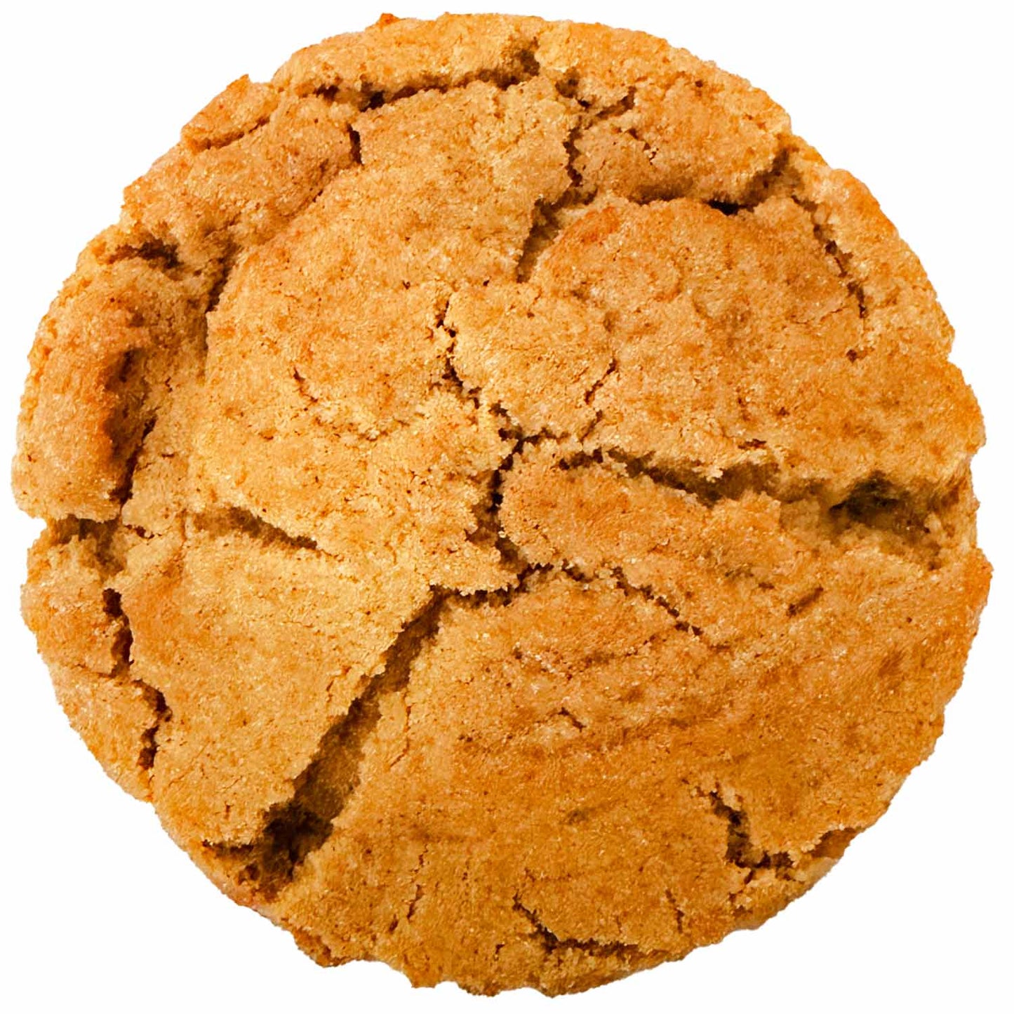 Christmas Chai Cookie