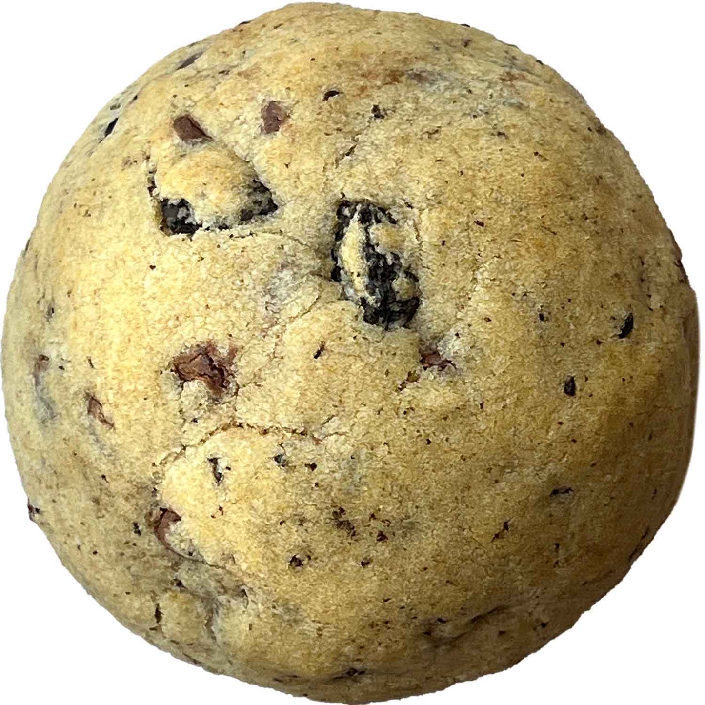 Oreo Cookie Butter Cookie