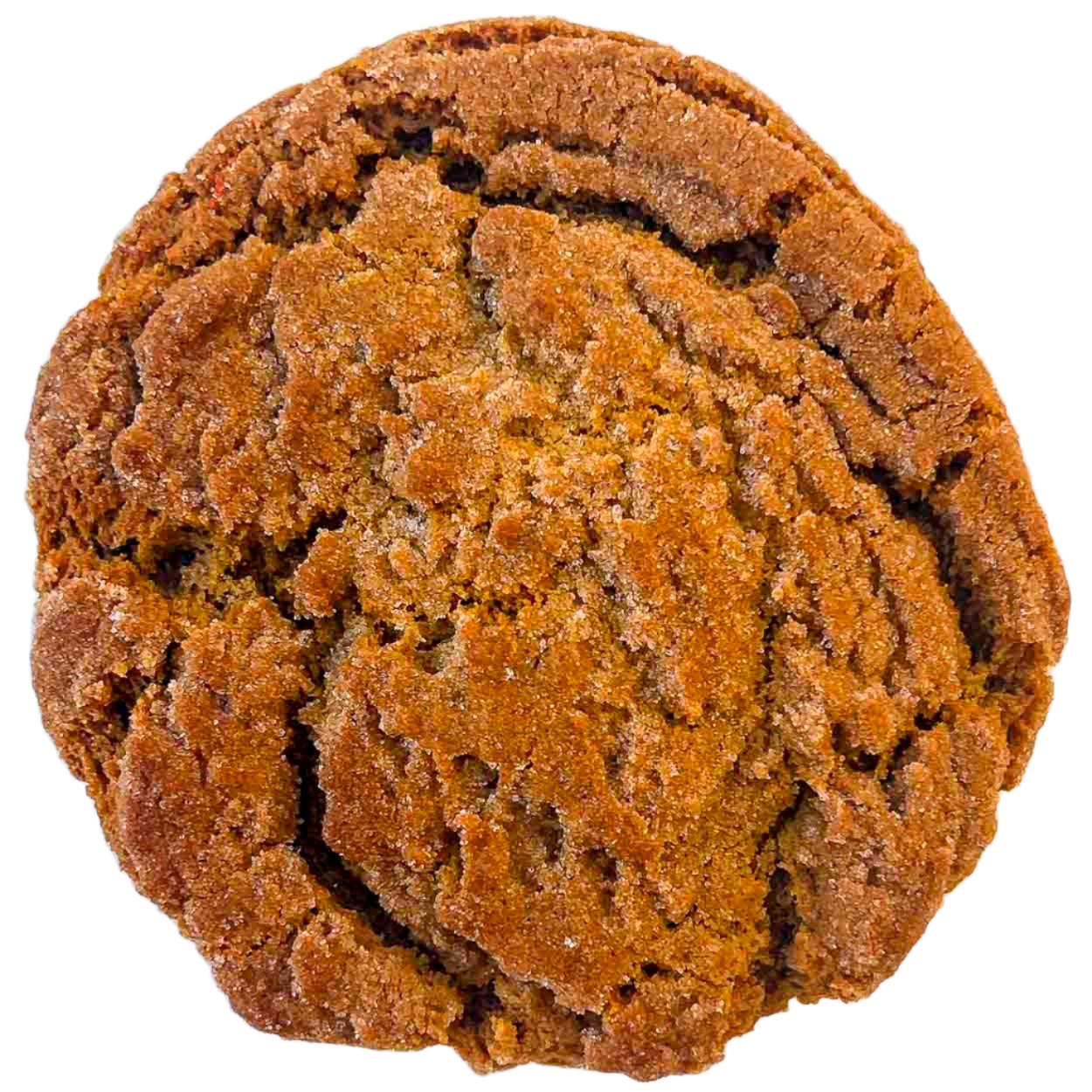 Ginger Molasses Cookie