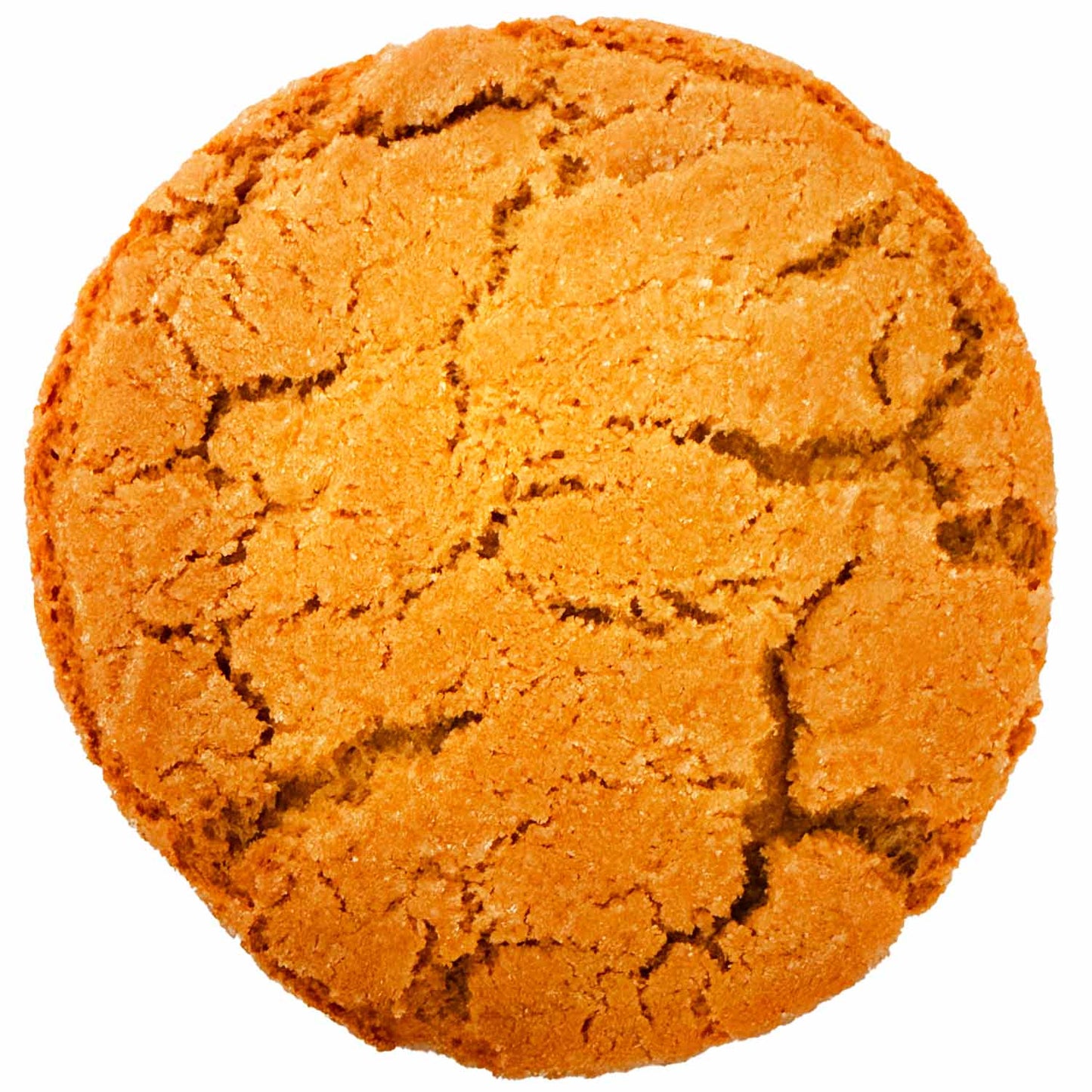 Ginger Molasses Cookie