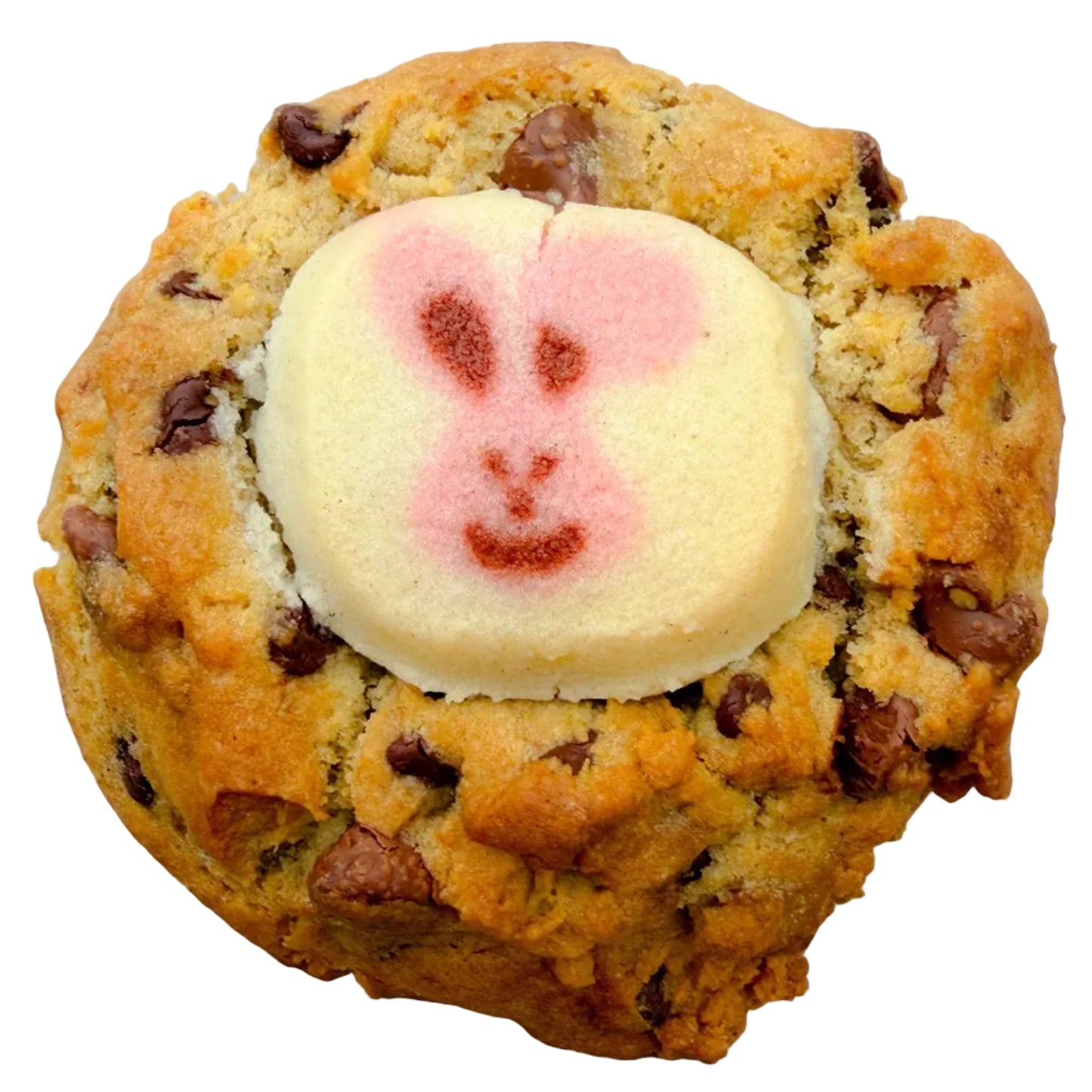 Chocolate Chip Sugar Cookie