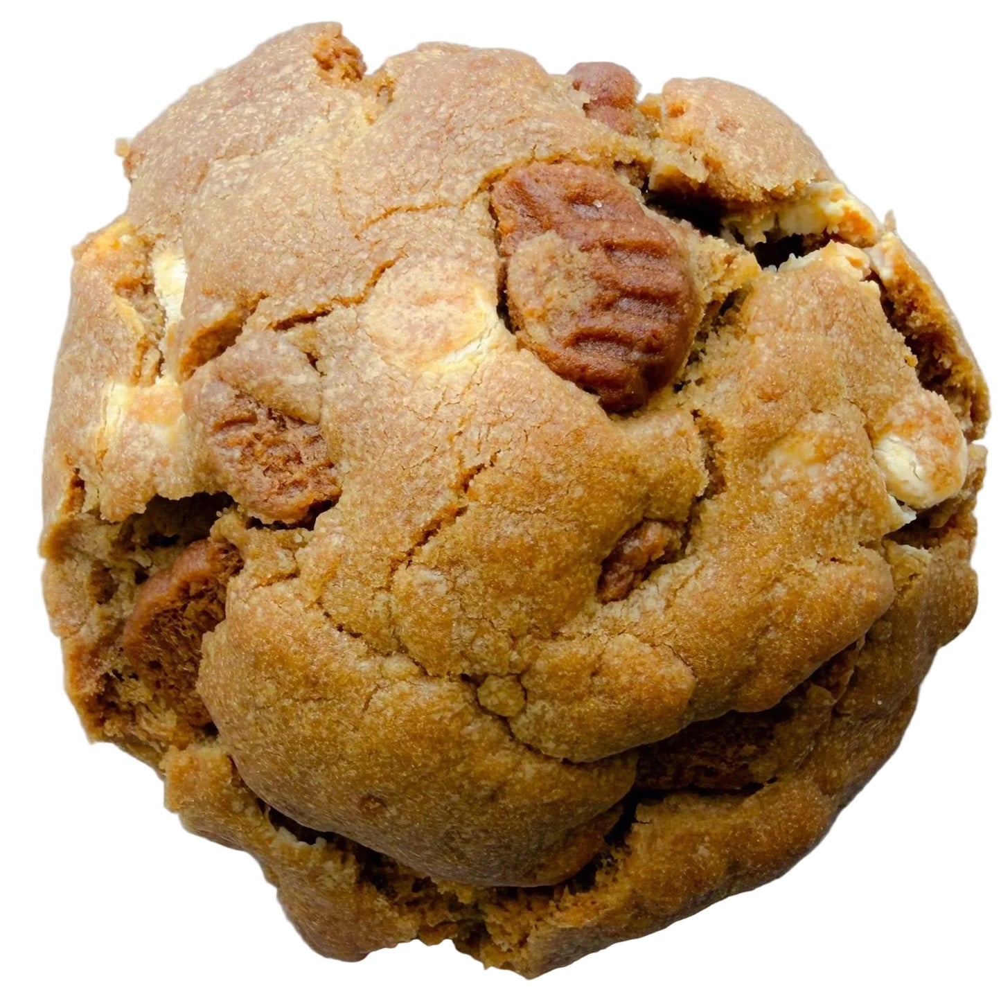 Biscoff Cookie